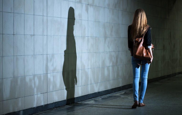 girl walking down a dark alley all alone with a shadow casting on the wall looking ominous giving the impression something is wrong... terribly wrong