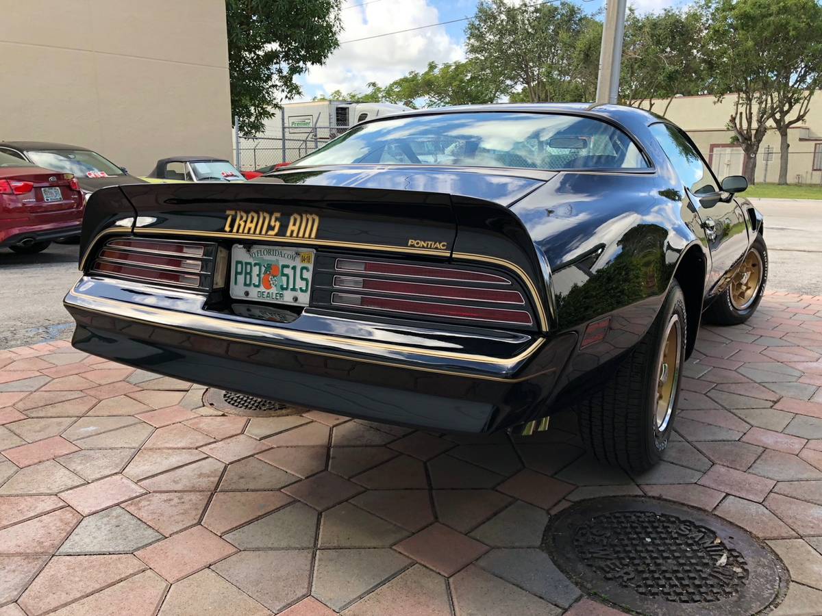 Image of the Black 1976 Trans Am from the back angle to show off the tail lights and back end of car.